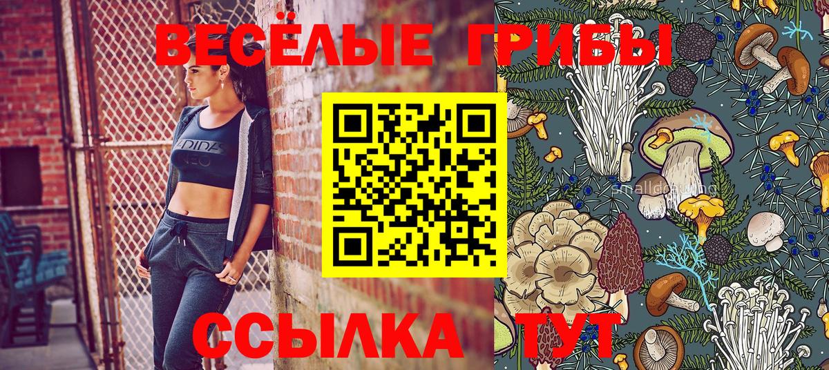 Ефремов  Галлюциногенные грибы мицелий  Вход с VPN 